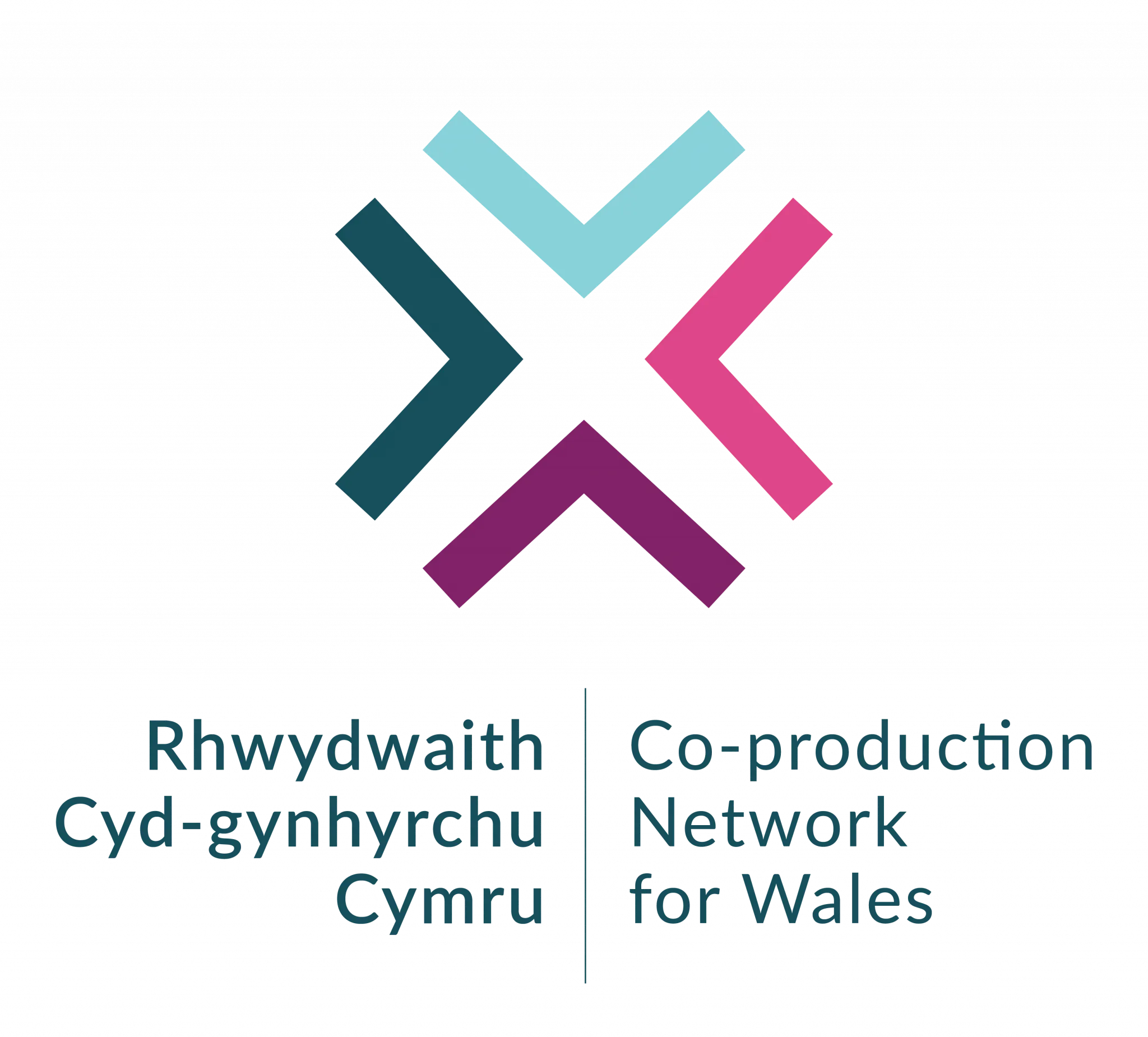 Co-production Network for Wales Knowledge Base
